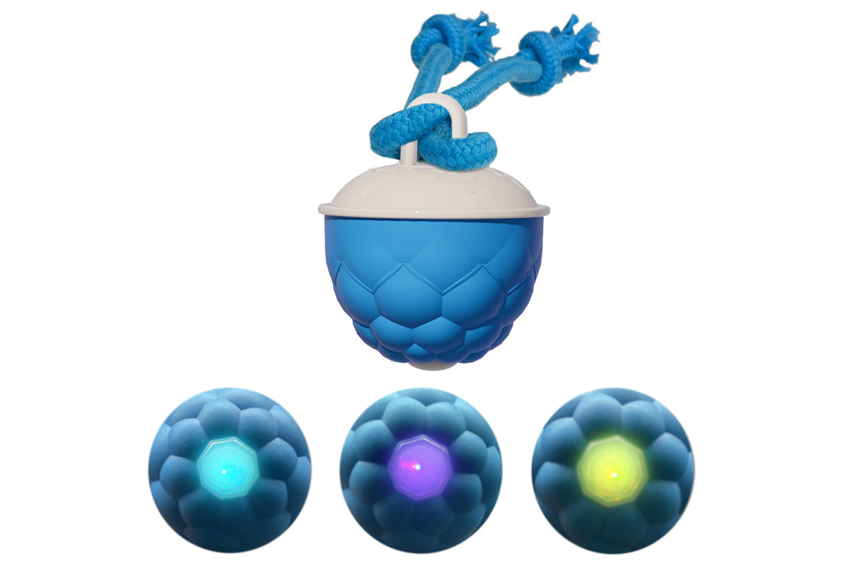 Interactive Dog Toys Touch Activated Bouncing And Jumping Dog Ball -Blue