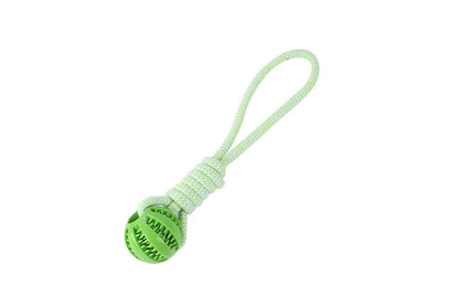 Interactive Dog Rope Toy with Elastic Bungee and Chew Ball for Indoor Outdoor Play-Green