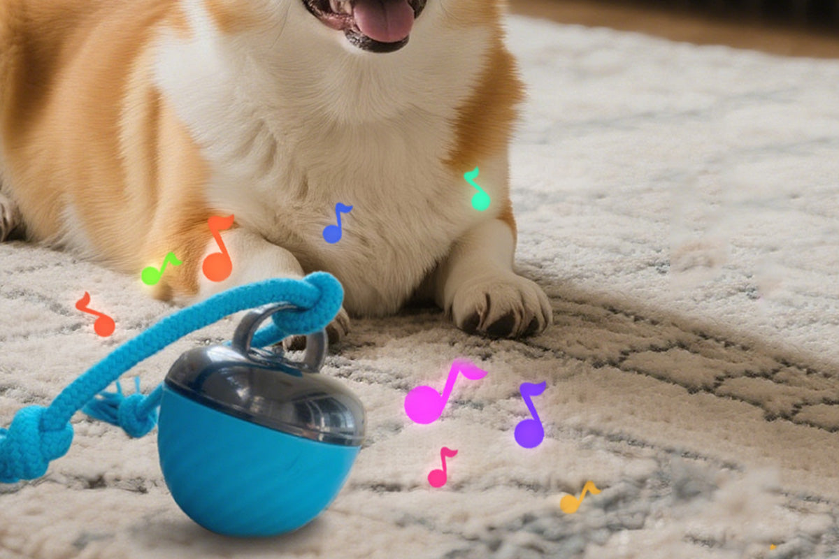 Squeaky Dog Toy Active Rolling Ball Interactive Dog Toys Motion Activated-Blue