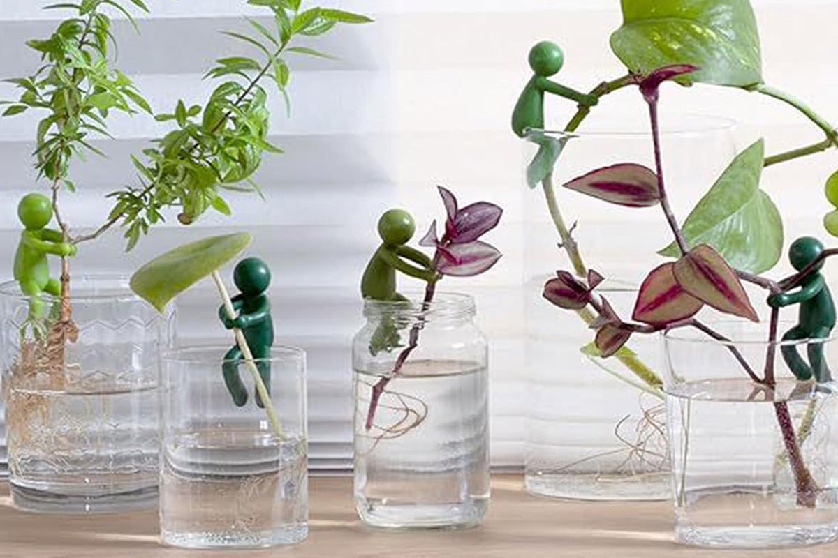 6Pcs Plant Propagation Buddy Plant Cutting Holder for Sprouts Stems Shoots Indoor Garden Support