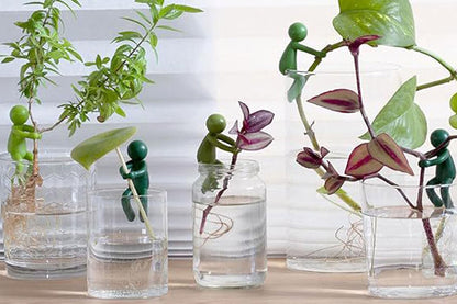 6Pcs Plant Propagation Buddy Plant Cutting Holder for Sprouts Stems Shoots Indoor Garden Support