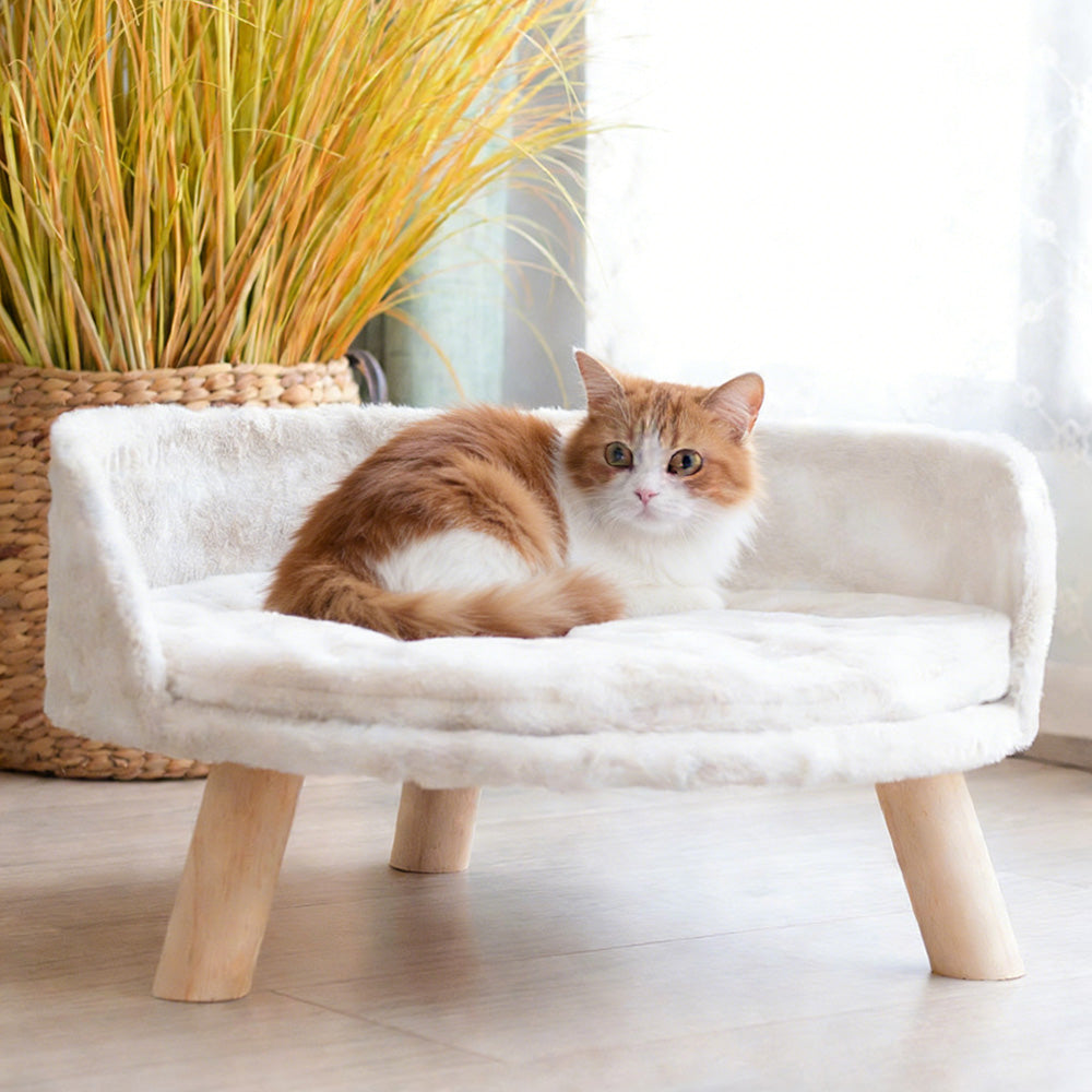 Elevated Dog Cat Bed Sofa Couch Kitten Lounge Raised Pet Bed with Legs-L