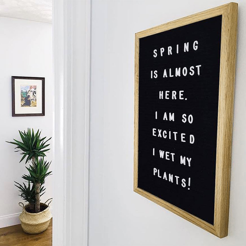 30x40 cm Felt Letter Board with Letters Numbers and Stand-Black