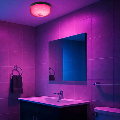 Waterproof Shower Light with 12 RGB Colors Remote and Timer