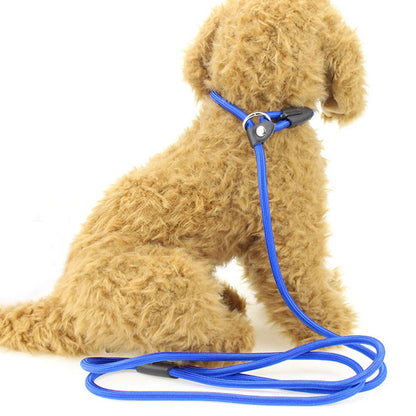 2 Pack 1.4M Pet Training Leash Slip Lead Pets Nylon Rope - Blue
