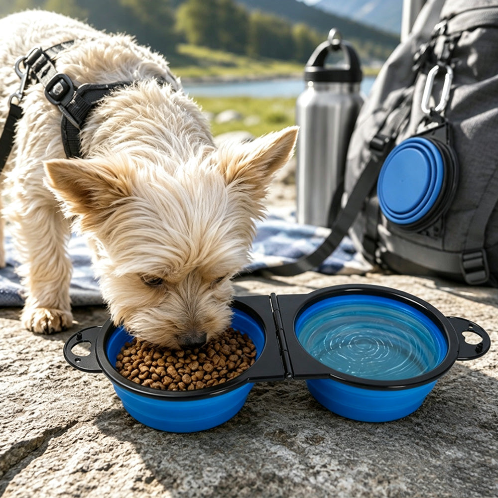 Portable Foldable Dual Pet Bowls for Cats Dogs Outdoor Home Use - Blue