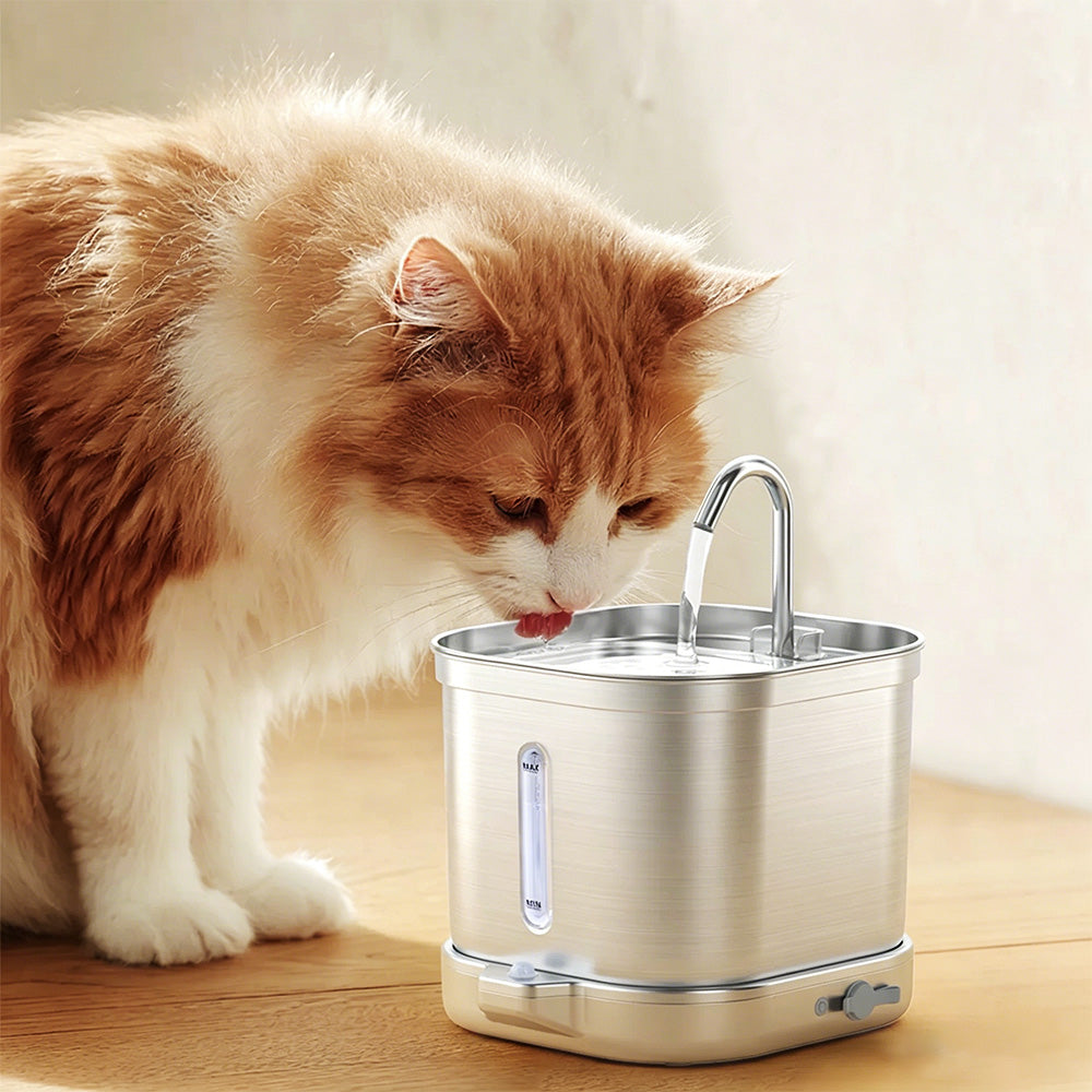2L Stainless Steel Cat Water Fountain