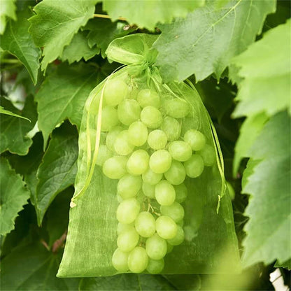 50PCS Fruit Protection Bags Green Fruit Nets Drawstring Mesh Cover Bags For Vegetable Protection