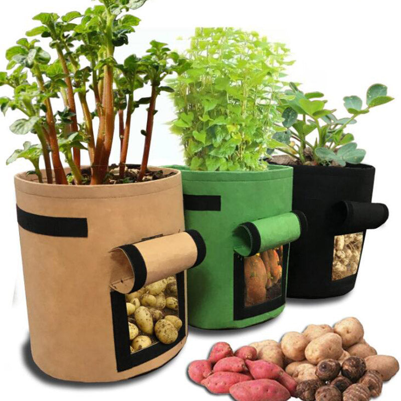 Plant Grow Bag Small Garden Potato Planting Bag