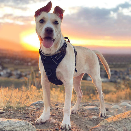 2pcs No Pull Dog Harness Reflective Adjustable Pet Vest Harness with Easy Control Soft Handle -Black