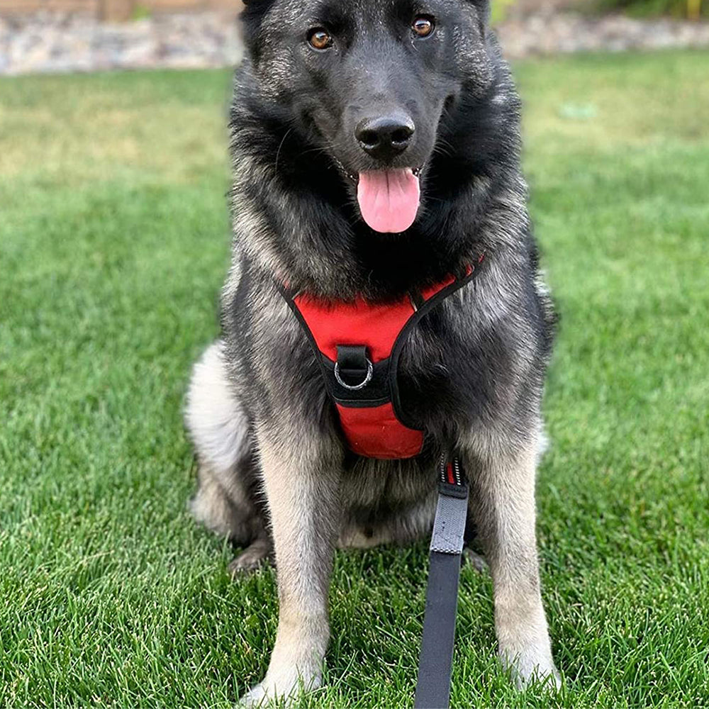 2pcs No Pull Dog Harness Reflective Adjustable Pet Vest Harness with Easy Control Soft Handle -Red