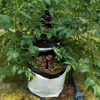 10Pcs PE Seedling Nursery Bags Plant Grow Bags Pot Garden Yard Planting Pouch Tool