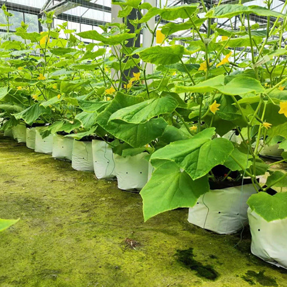 10Pcs PE Seedling Nursery Bags Plant Grow Bags Pot Garden Yard Planting Pouch Tool