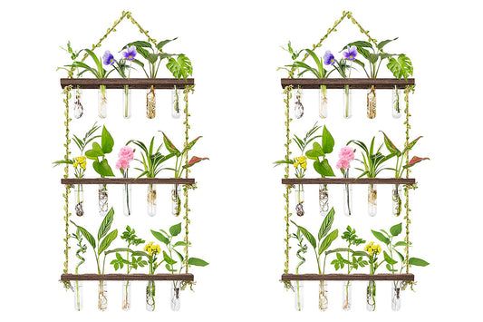2pcs 3 Tiered Plant Hanger Flower Wall Hanging Propagation Station for Home Office Decor-Style2