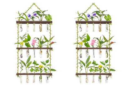 2pcs 3 Tiered Plant Hanger Flower Wall Hanging Propagation Station for Home Office Decor-Style2