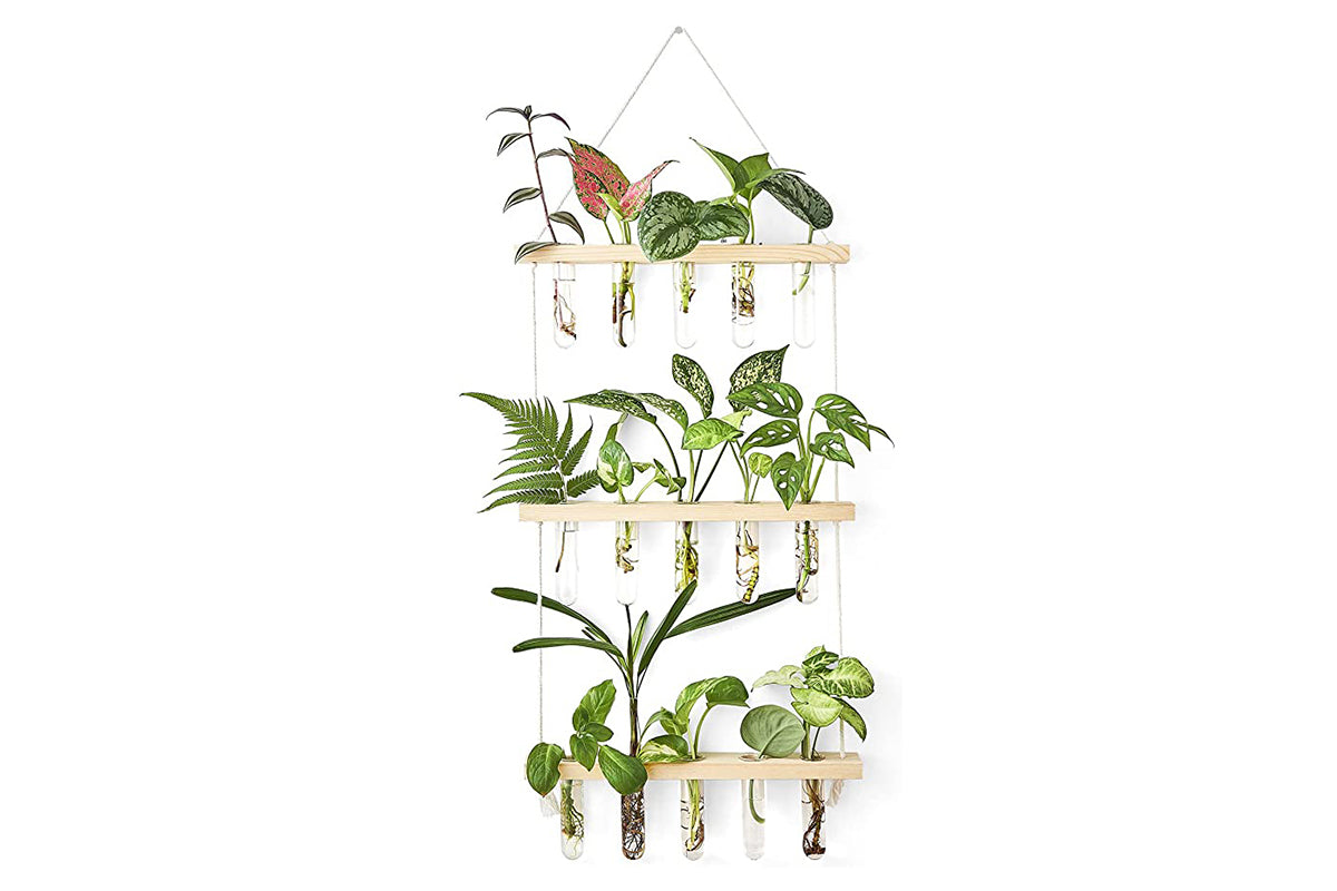 2pcs 3 Tiered Plant Hanger Flower Wall Hanging Propagation Station for Home Office Decor-Style1