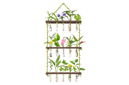 2pcs 3 Tiered Plant Hanger Flower Wall Hanging Propagation Station for Home Office Decor-Style2