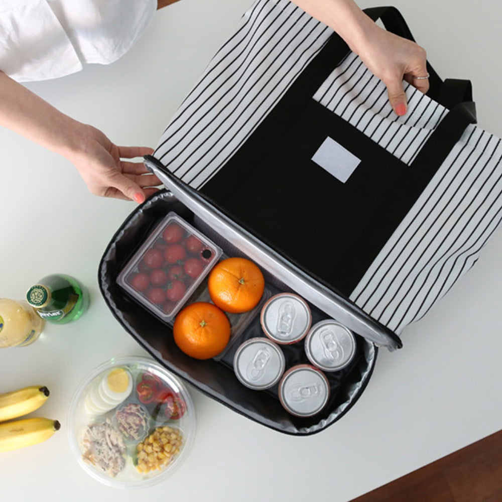 Dual Compartment Insulated Lunch Bag Picnic Cooler Bag Portable Tote Handbag