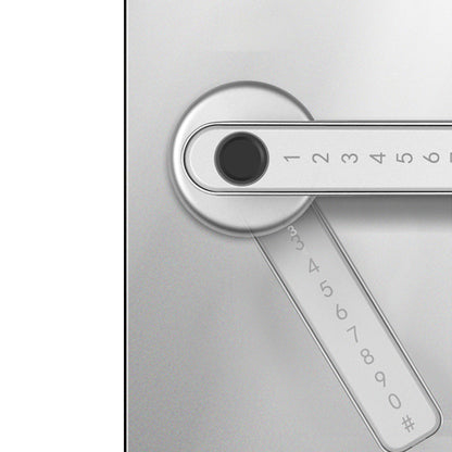 Door Lock Fingerprint Smart Digital Lever Keyless Entry Door Lock with App -Sliver