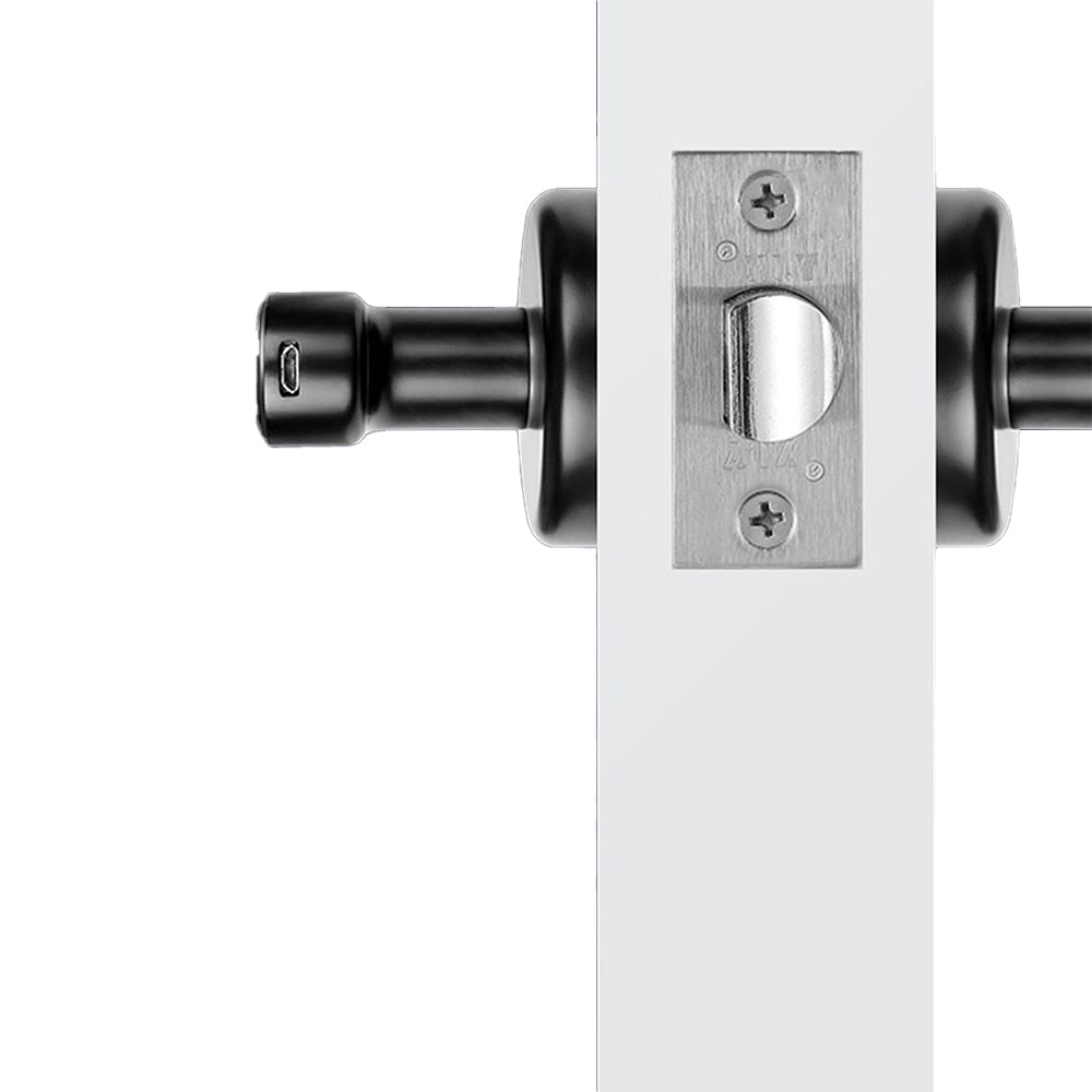 Door Lock Fingerprint Smart Digital Lever Keyless Entry Door Lock with App -Black