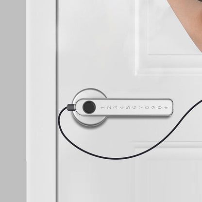 Door Lock Fingerprint Smart Digital Lever Keyless Entry Door Lock with App -Sliver