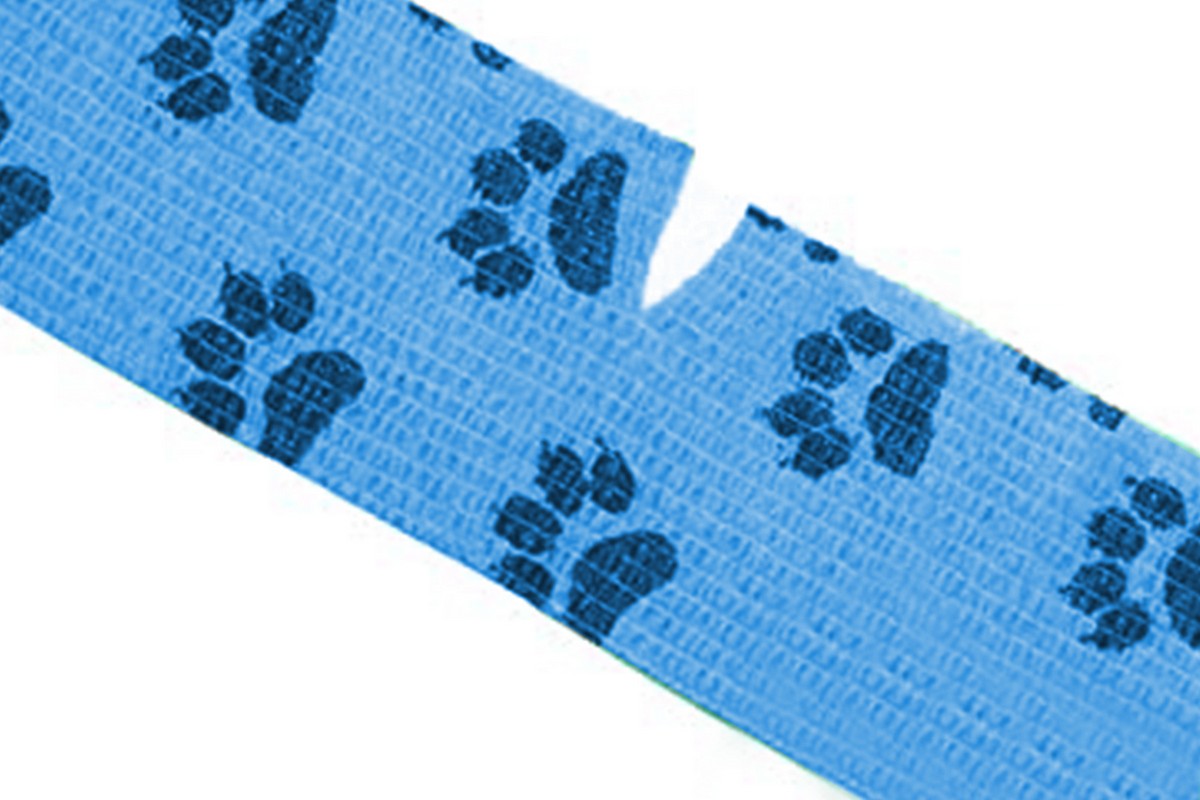 12 Rolls Self Adhesive Bandage for Pet Non Woven Dog Bandages Elastic Pet Wounds Wrap Tape
Animals Non-Woven Strong Sports Tape
