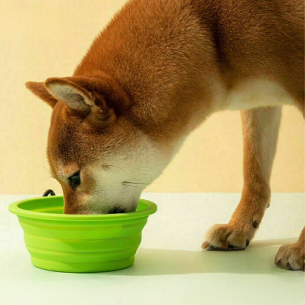 2 Pack Foldable Collapsible Dog Cat Pet Bowl