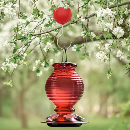 Anti-Ant Moat for Hummingbird Hanging Feeders Ant Guard S Hook Hanger for Outdoor Yard Red