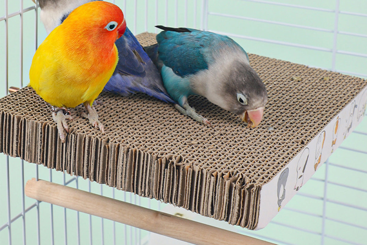 Parrot Toys Bird Perch Stand Cardboard Anti-bite Hair Grinding Pad Bird Cage Accessories