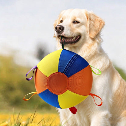25cm Zippered Dog Ball Toy with Tug Handles Fetch Toy Interactive Dog Ball