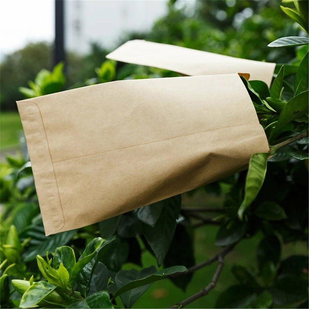 100-Pack Kraft Paper Seed Envelopes Garden Home Storage Bags Mini Envelopes 6x11cm for Seeds Jewelry