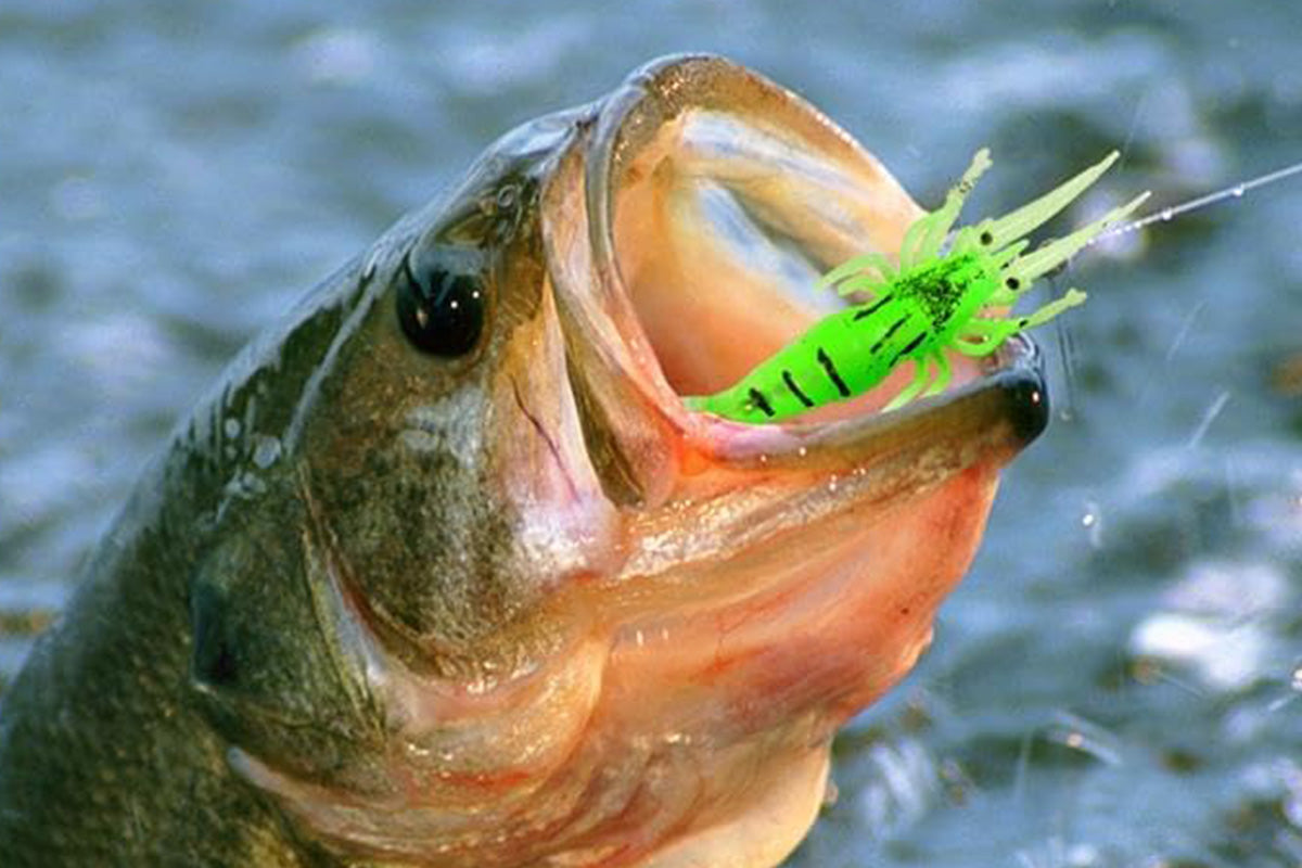 Fishing Advent Calendar 2025 Fishing Accessories Kit Christmas Countdown Gifts