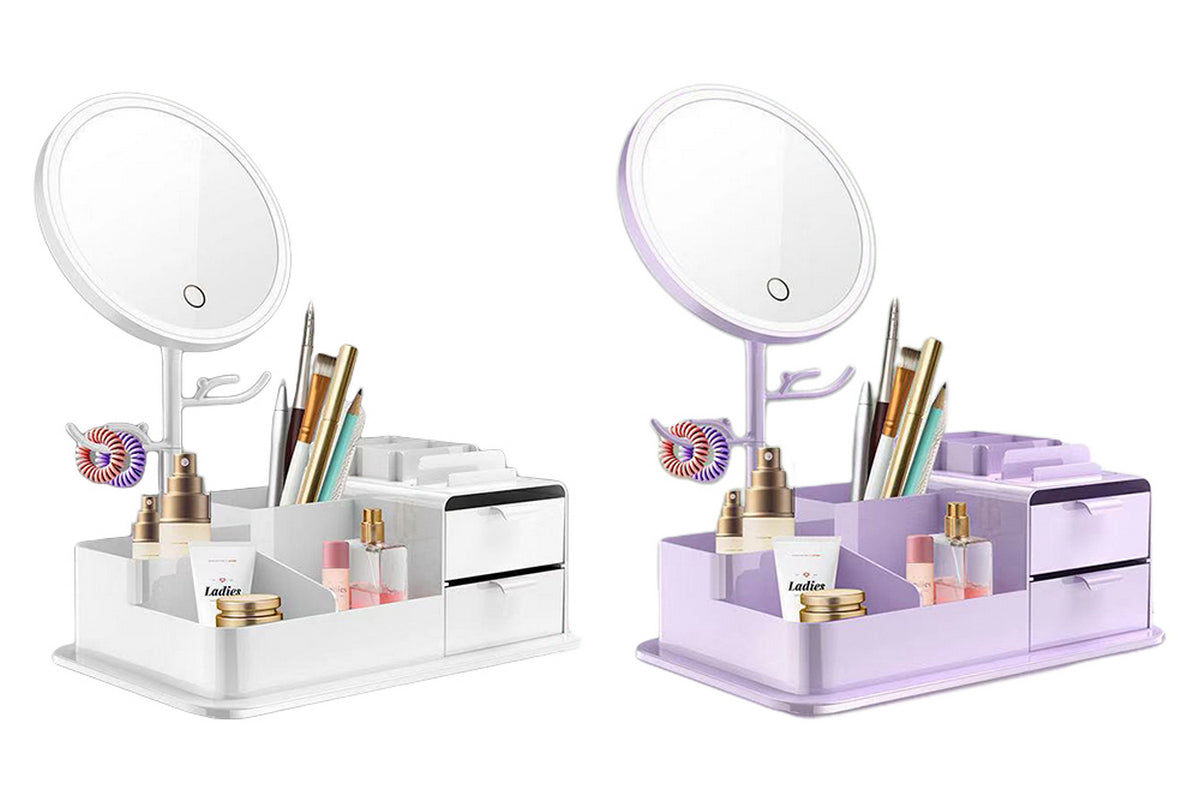 2Pcs Portable Makeup Storage Box With LED Light Up Mirror Storage Makeup Brushes-White And Purple
