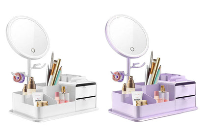 2Pcs Portable Makeup Storage Box With LED Light Up Mirror Storage Makeup Brushes-White And Purple