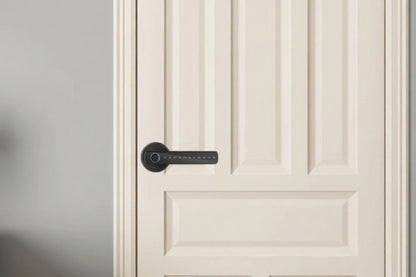5 in 1 Smart Door Lock Fingerprint Door Knob with IC Cards and Backup Keys -Black