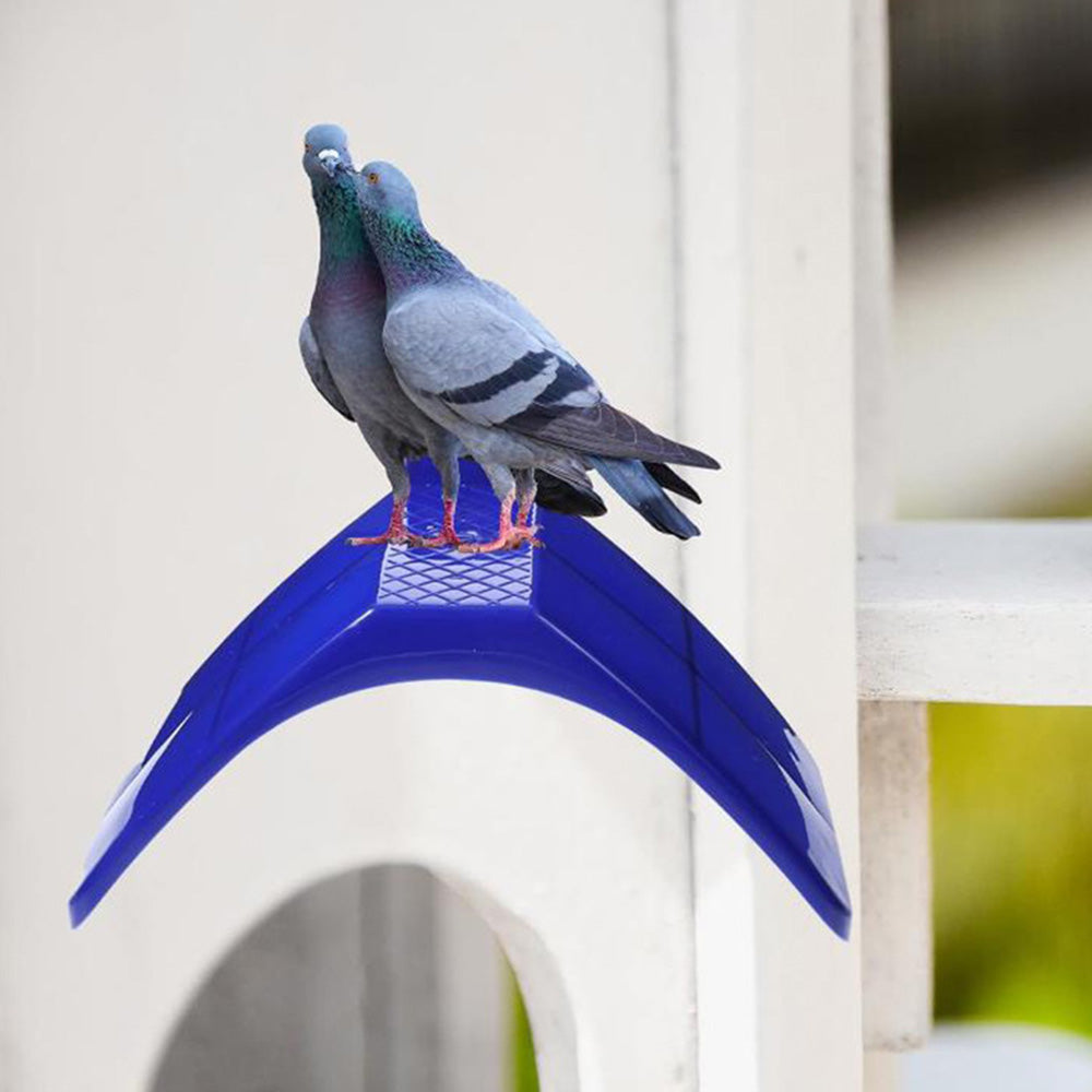 10 Pack Pigeon Dove Rest Stand Frame Dwelling Perches Roost Bird Supplies Set