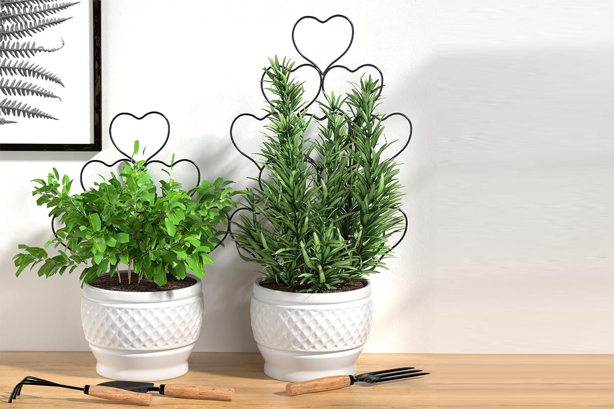 Plant Trellis for Climbing Plants Black Heart Metal Stackable Garden Trellis for Vine Ivy Flower Potted Plants