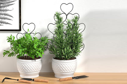 Plant Trellis for Climbing Plants Black Heart Metal Stackable Garden Trellis for Vine Ivy Flower Potted Plants