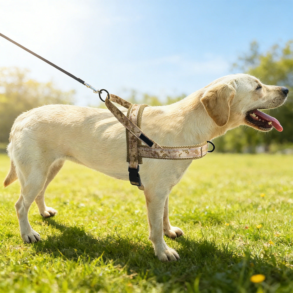 Breathable Mesh Padded Dog Harness No-Pull Vest-Green