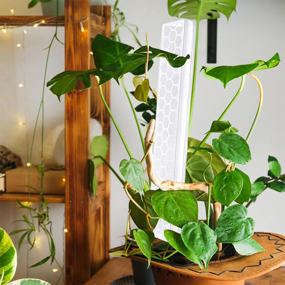 Moss Pole Plant Extension Support Tall Plant Sticks Support for Climbing Plants