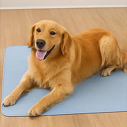 Waterproof Absorbent Underpad-Blue