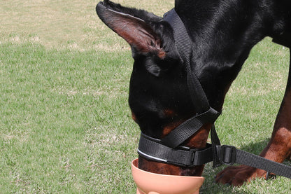 Adjustable Dog Head Collar with Padded Nose Loop for Training