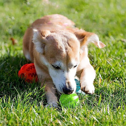 Pet Dog Chew Ball Toy Rubber Teeth Cleaning Bite Ball Puppy Treat Ball