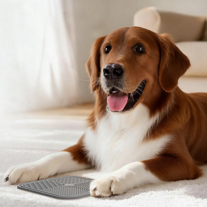2 Pack Dog Lick Mat Slow Feeder Licking Mats with Strong Suction Cups for Pets