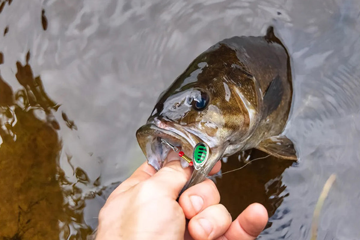 138Pcs Fishing Lures Tackle Bait Kit Tackle Box Fishing Bait Lure Gear Kit