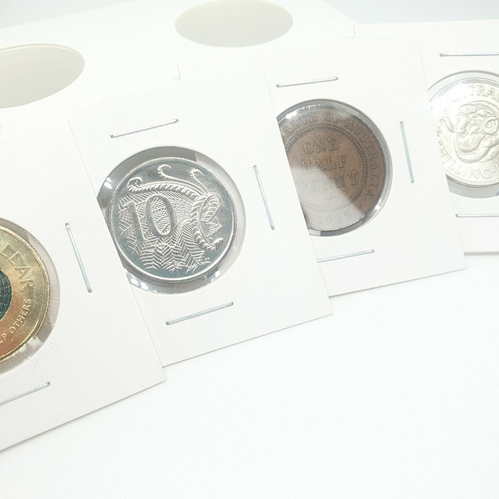 100 Piece Cardboard Coin Holders with Clear Window for Staple Display
