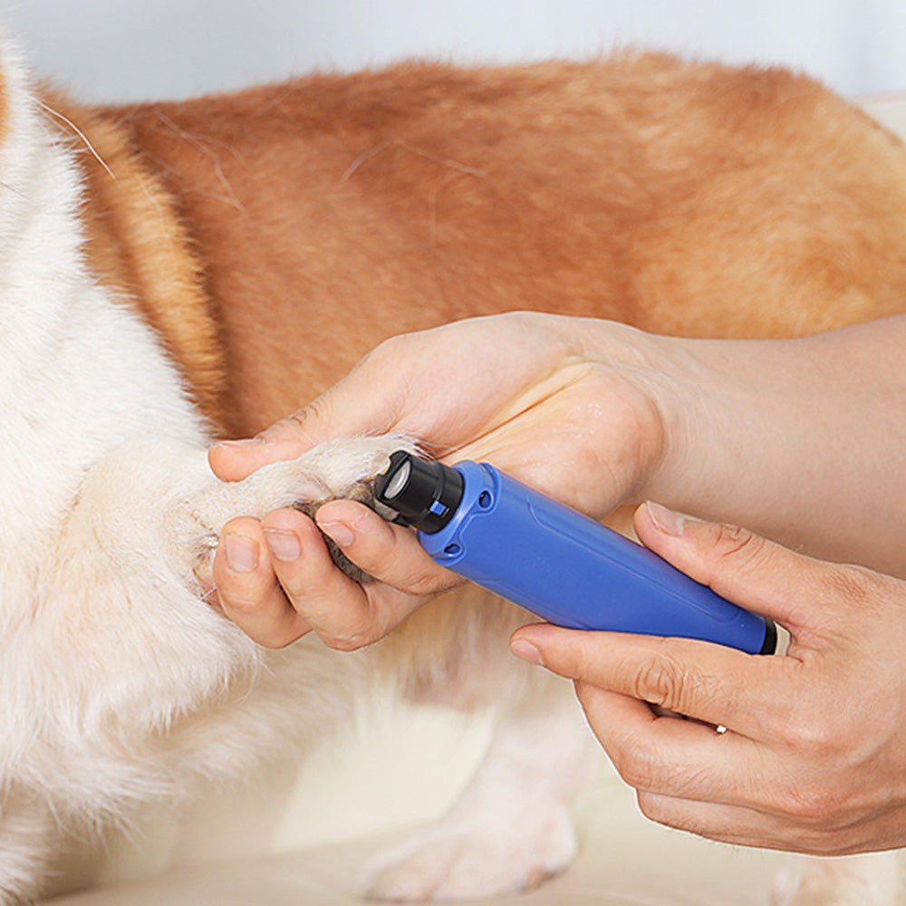 Electric Pet Nail Grinder with LED Light Rechargeable Nail Trimmer Kit for Small Medium Large Dogs Cats