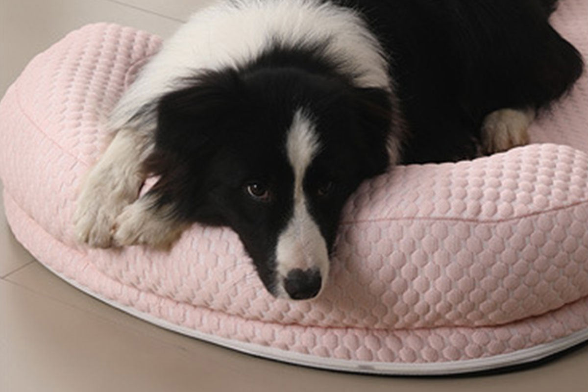 Pet Cooling Mat Memory Foam Cooling Fabric Dog Crate Bed with Pillow-Pink