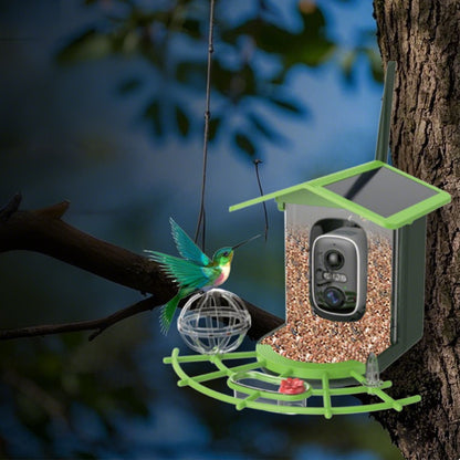 Outdoor Solar Powered Waterproof Bird Feeder with Camera for Garden