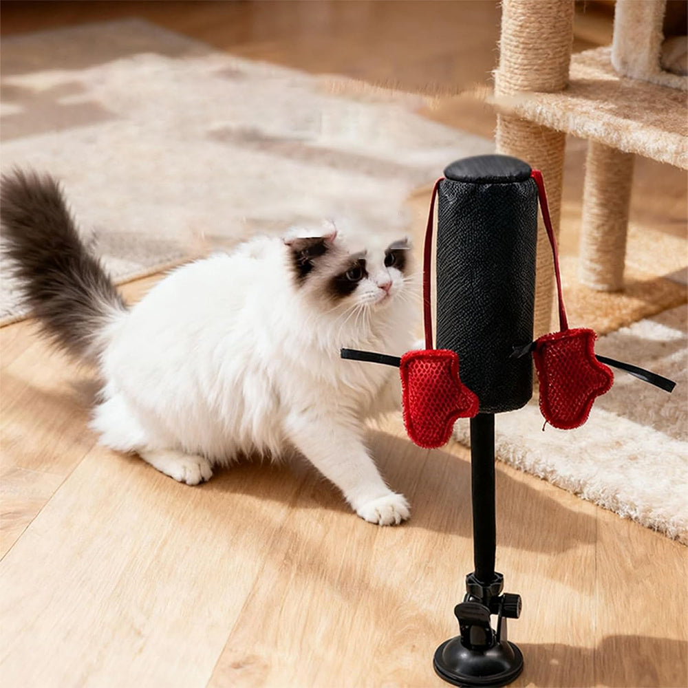 Cat Punching Bag Toy with Suction Cup